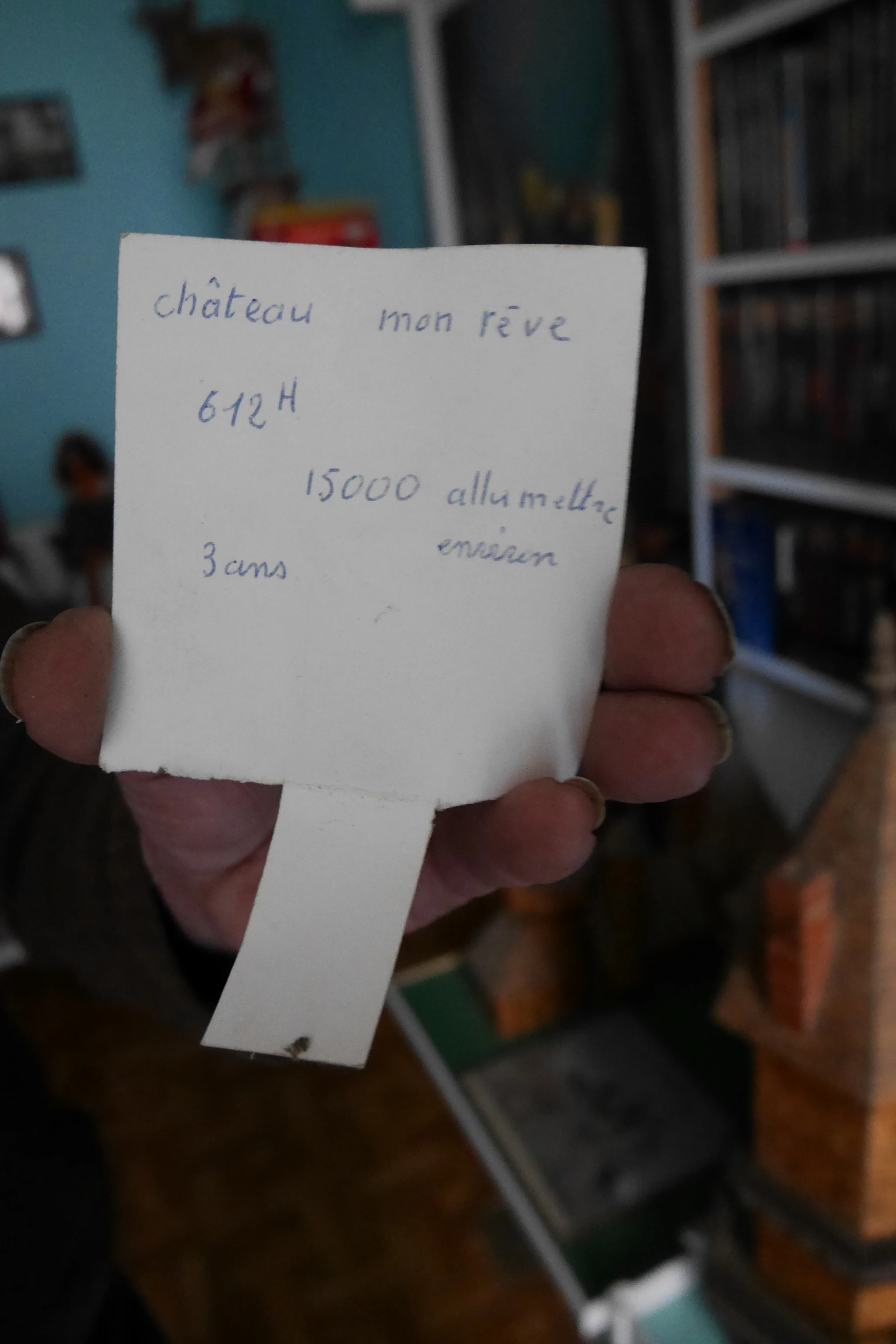 château mon rêve: 612h, 15 000 allumettes, 3 ans de travail