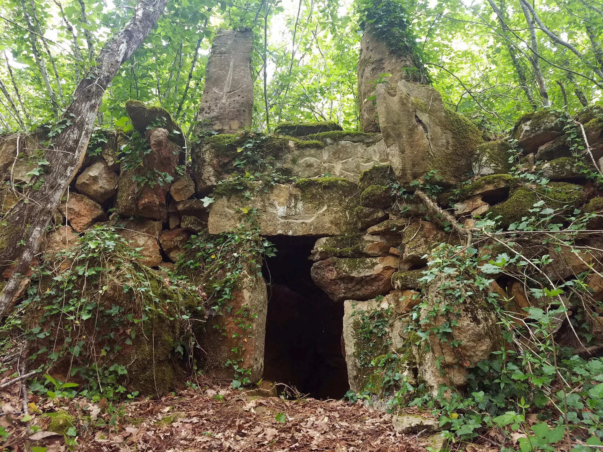 Photographie: Matthieu Morin 