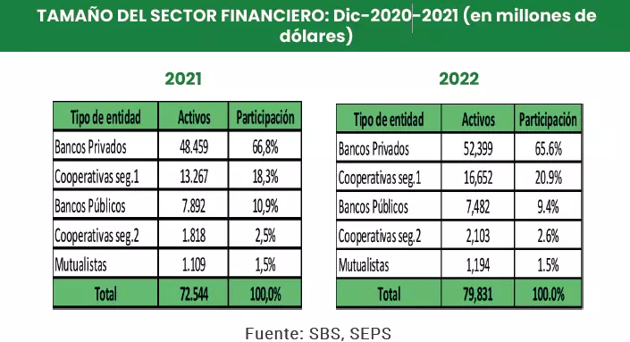 TAMAÑO DEL SECTOR FINANCIERO: Dic-2020-2021 (en millones de dólares)