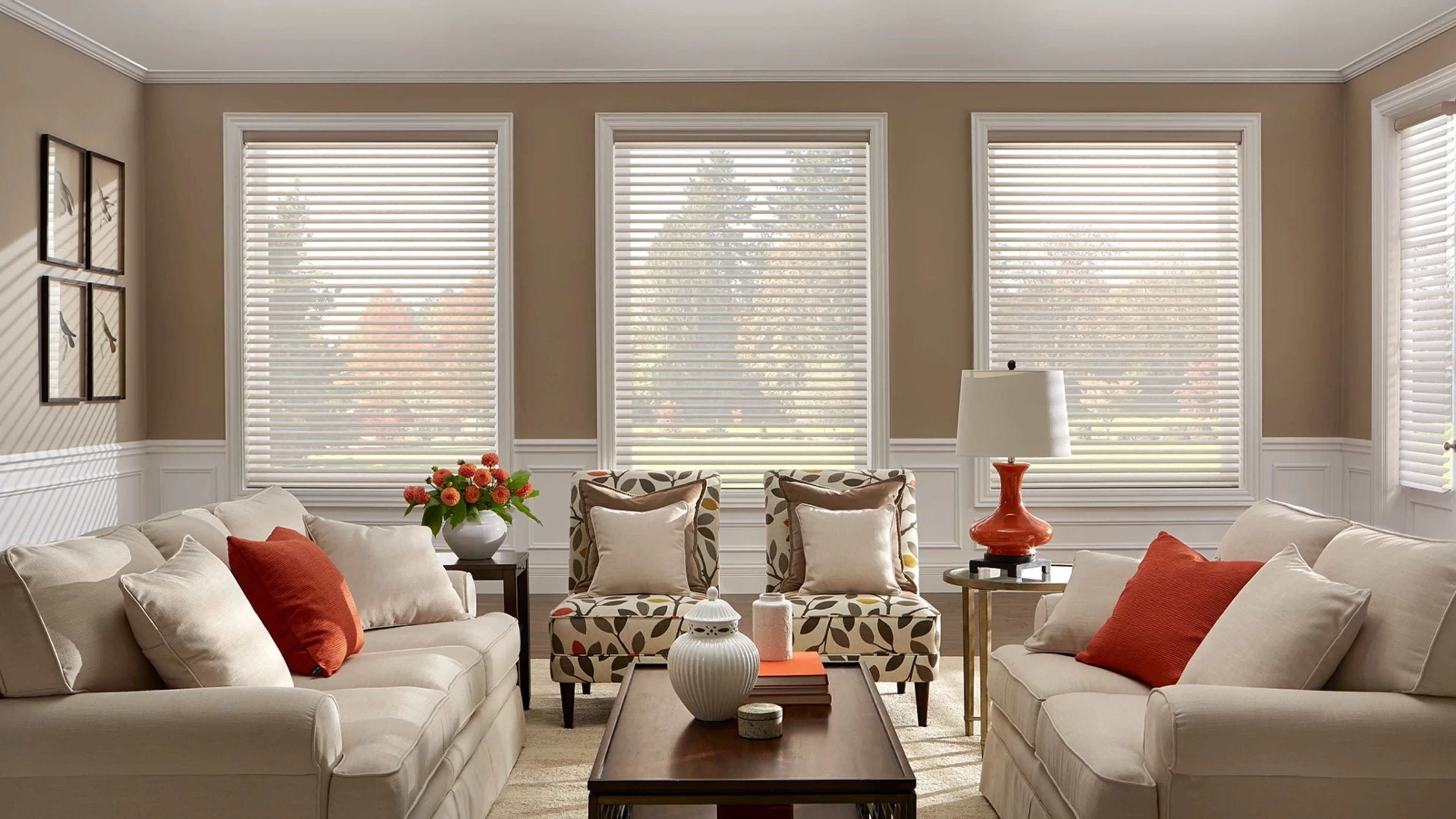 Window Blinds Phoenix
