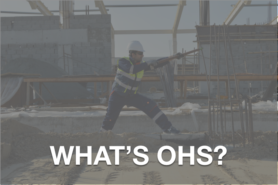 What is Occupational Health and Safety (OHS)?