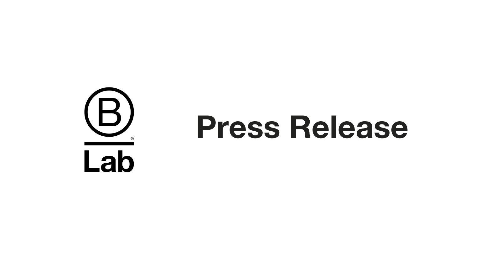 Press Release: Preliminary Consultation Suggests New B Corp Standards ...