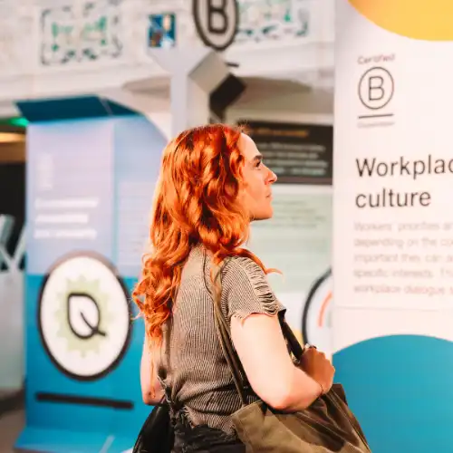 About the B Lab Standards
