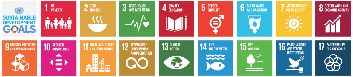 How Companies Can Use B Lab's B Impact Assessment And SDG Action ...