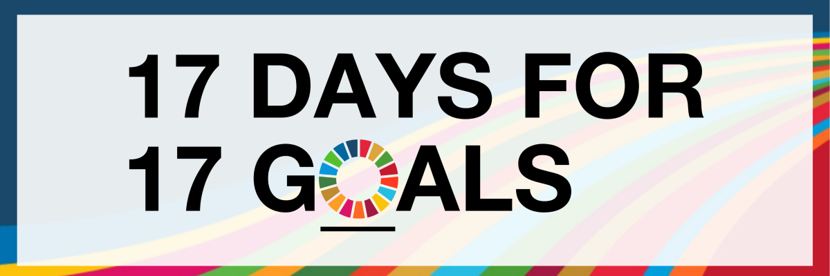 Sustainable Development Goals Campaign 2021 17 Days 17 Goals B Lab Movement