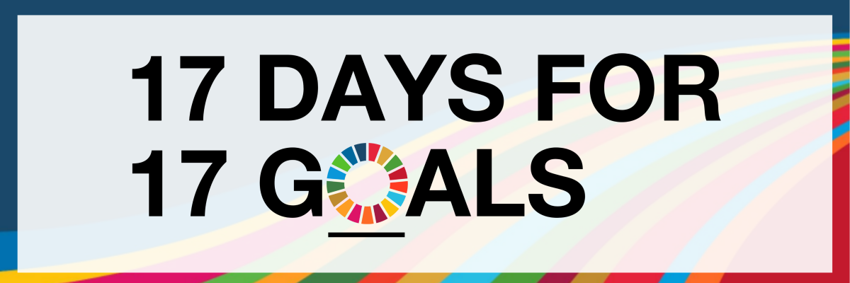 Sustainable Development Goals Campaign 21 17 Days 17 Goals B Lab Movement
