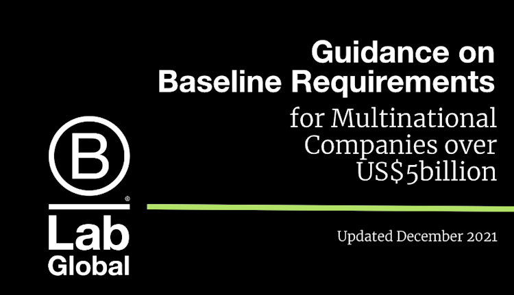 B Lab releases Guidelines for Acceptance to the Baseline Requirements ...