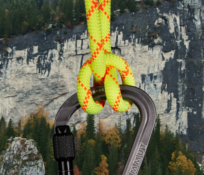 8.0 Alpine Core Protect Dry Rope | Mammut