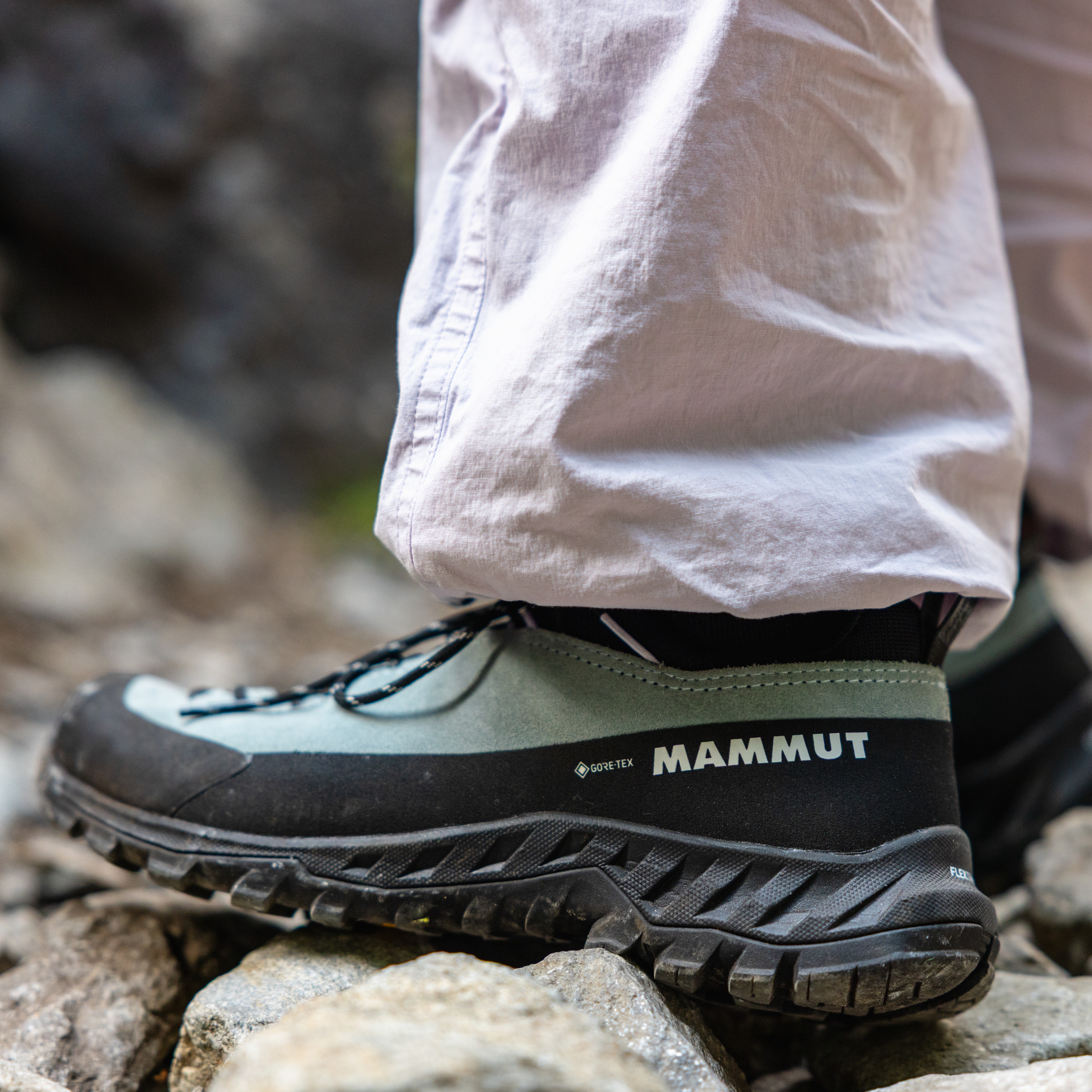 Alnasca IV Low GTX Women | Mammut