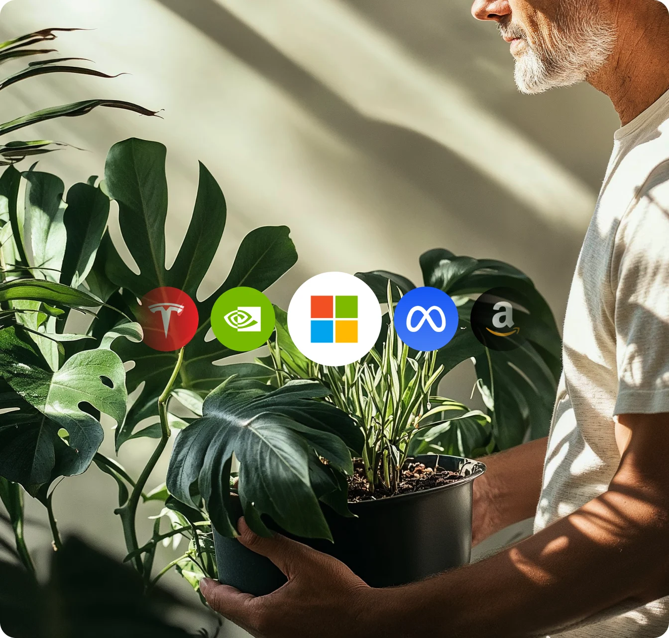 ctf-invest-investWithWio-img3