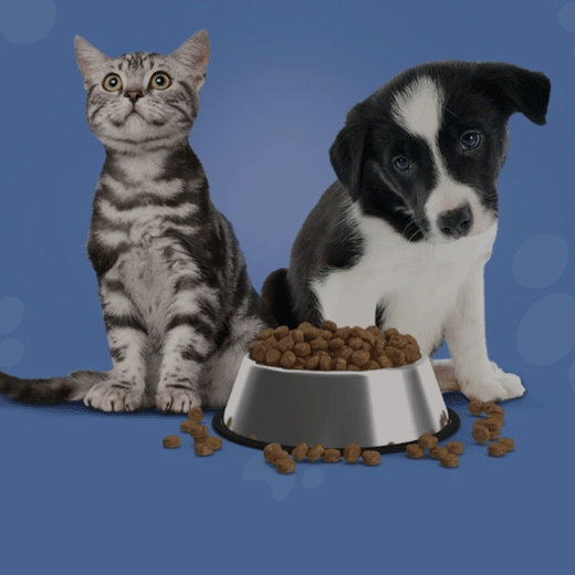 afterpay pet food