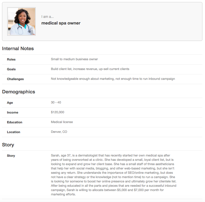 Medical Spa Owner Persona