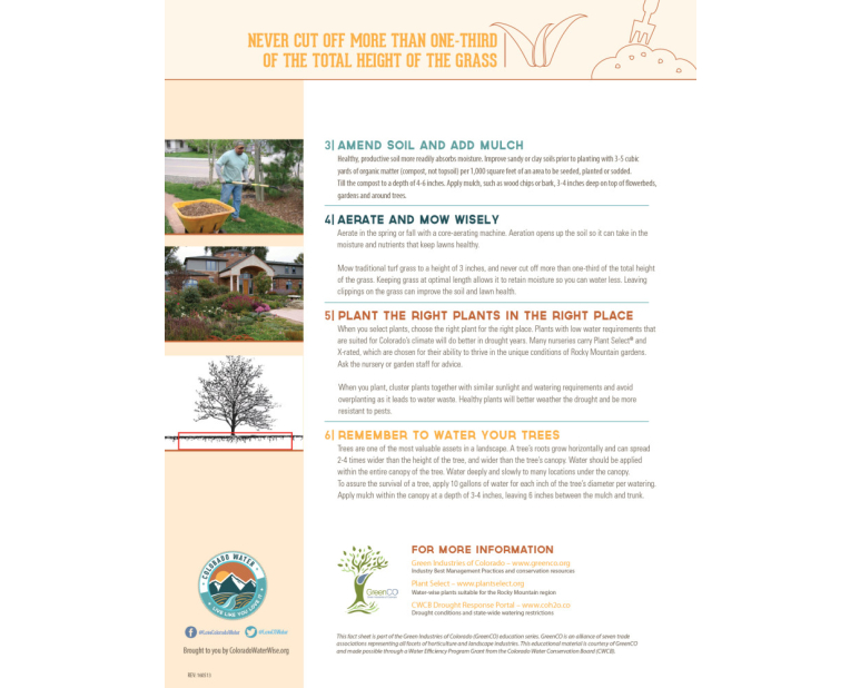 Colorado WaterWise – LLYLI Fact Sheet Drought lawn 2