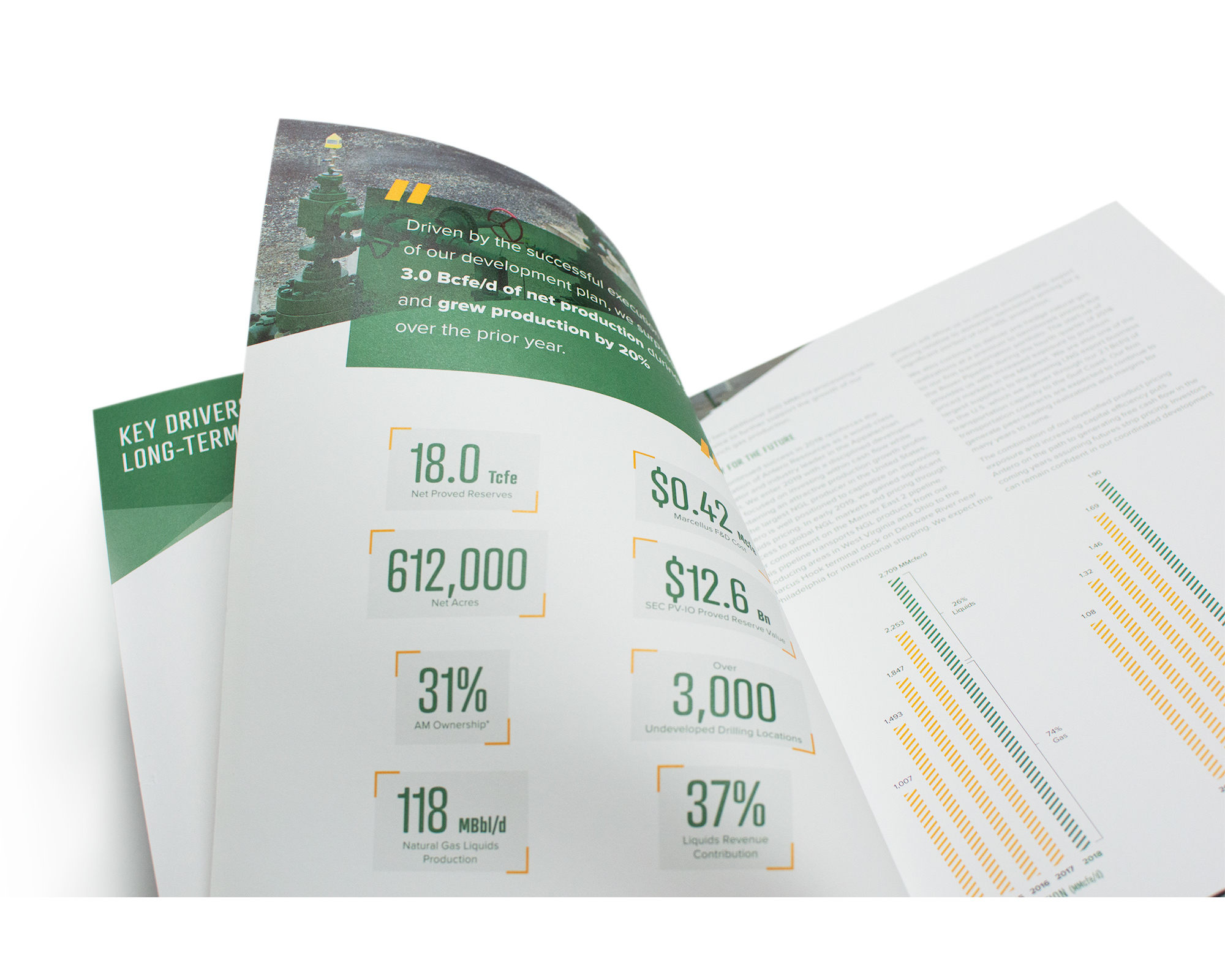 2018 Resources AR Page Close-Up