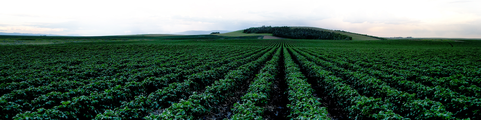 Pepper Equipment Co – Image Footer