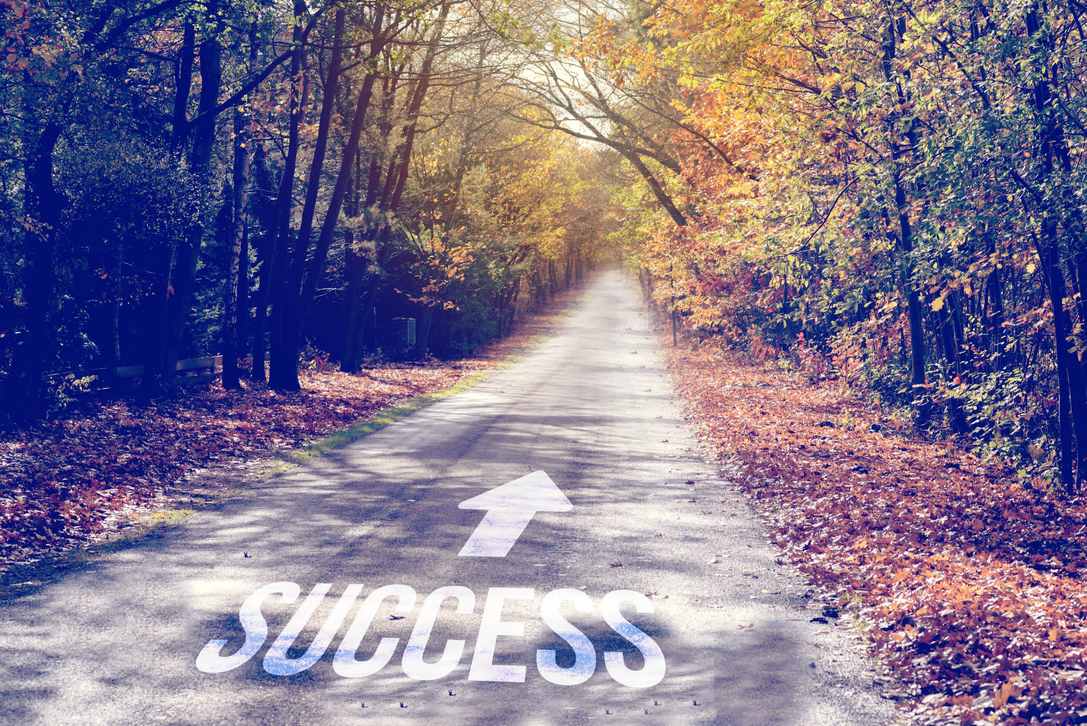 A road and a directional arrow pointing towards success. | Watermark