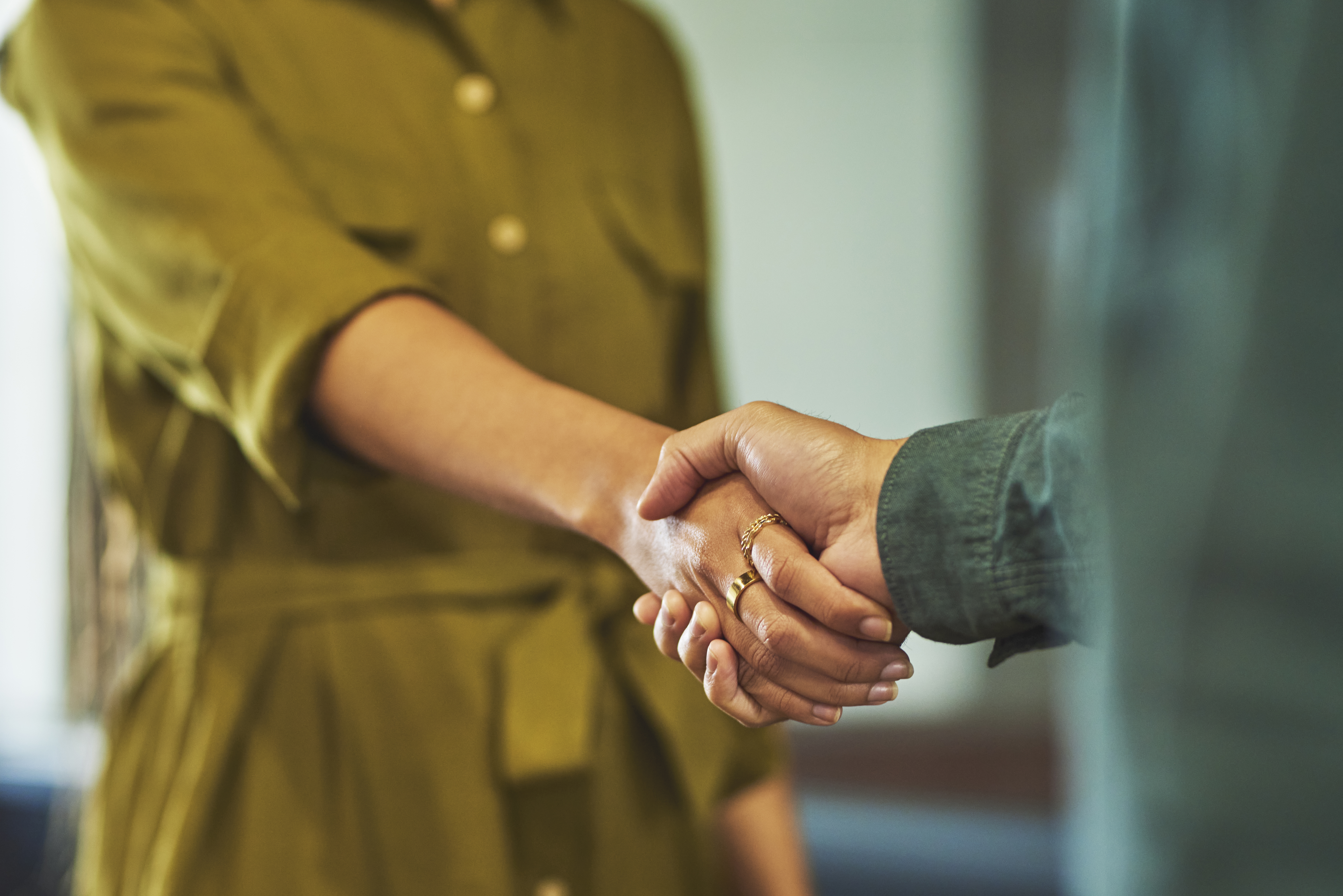 Two business people shaking hands