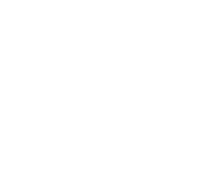 wills and wellness logo