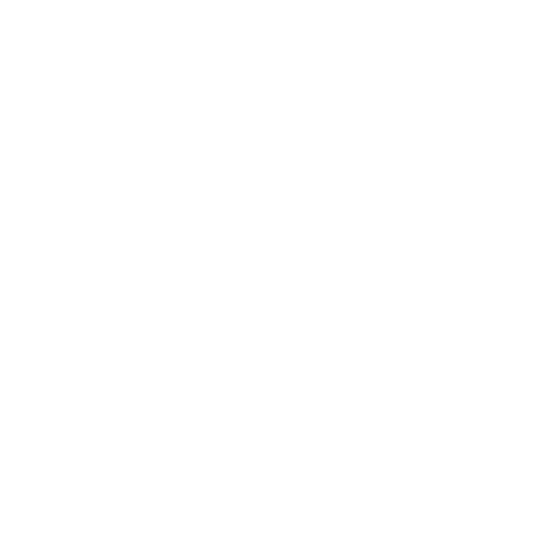 Arisant Logo - White