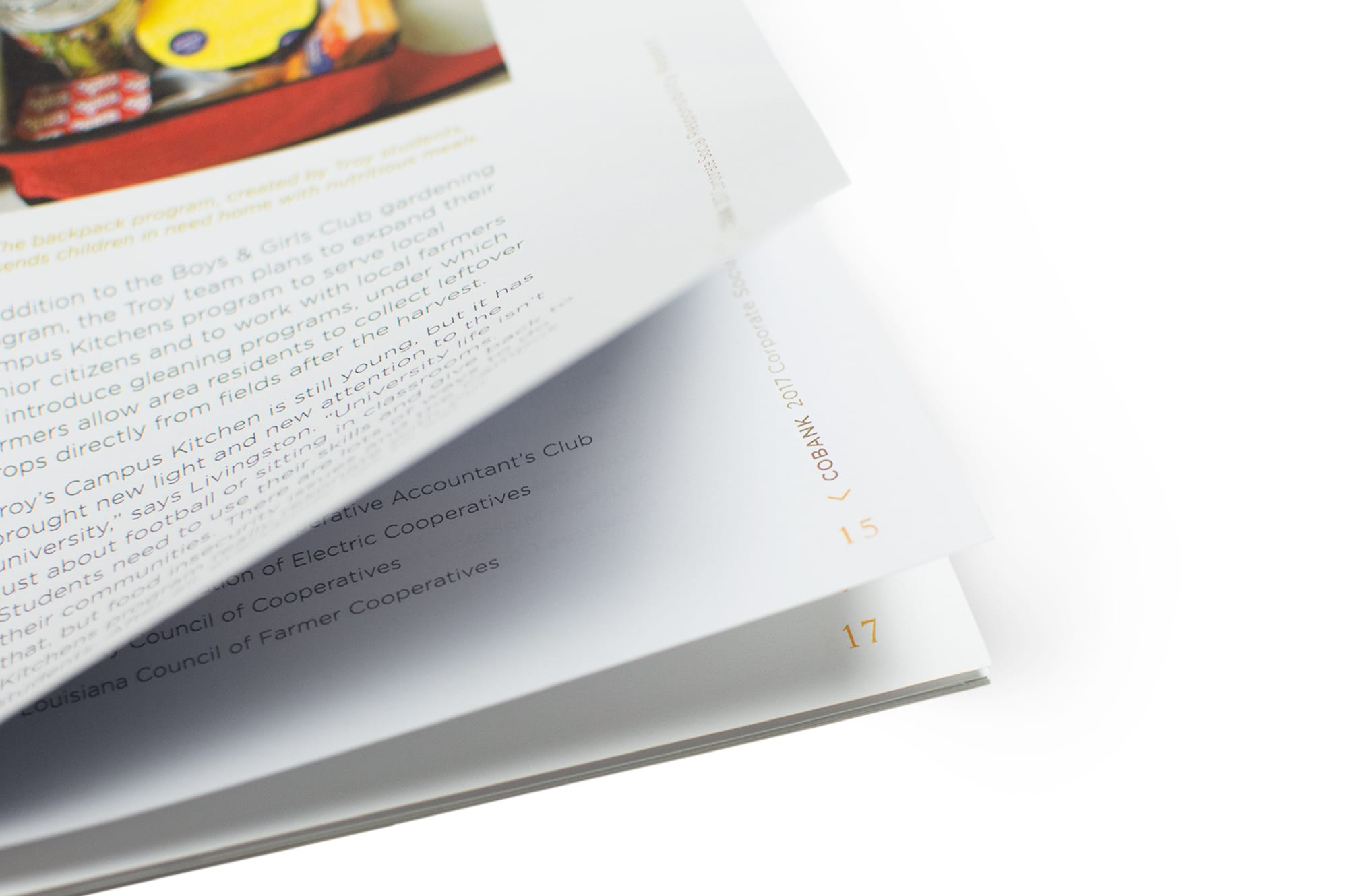 CoBank – 2017 CSR – Page Folio Detail
