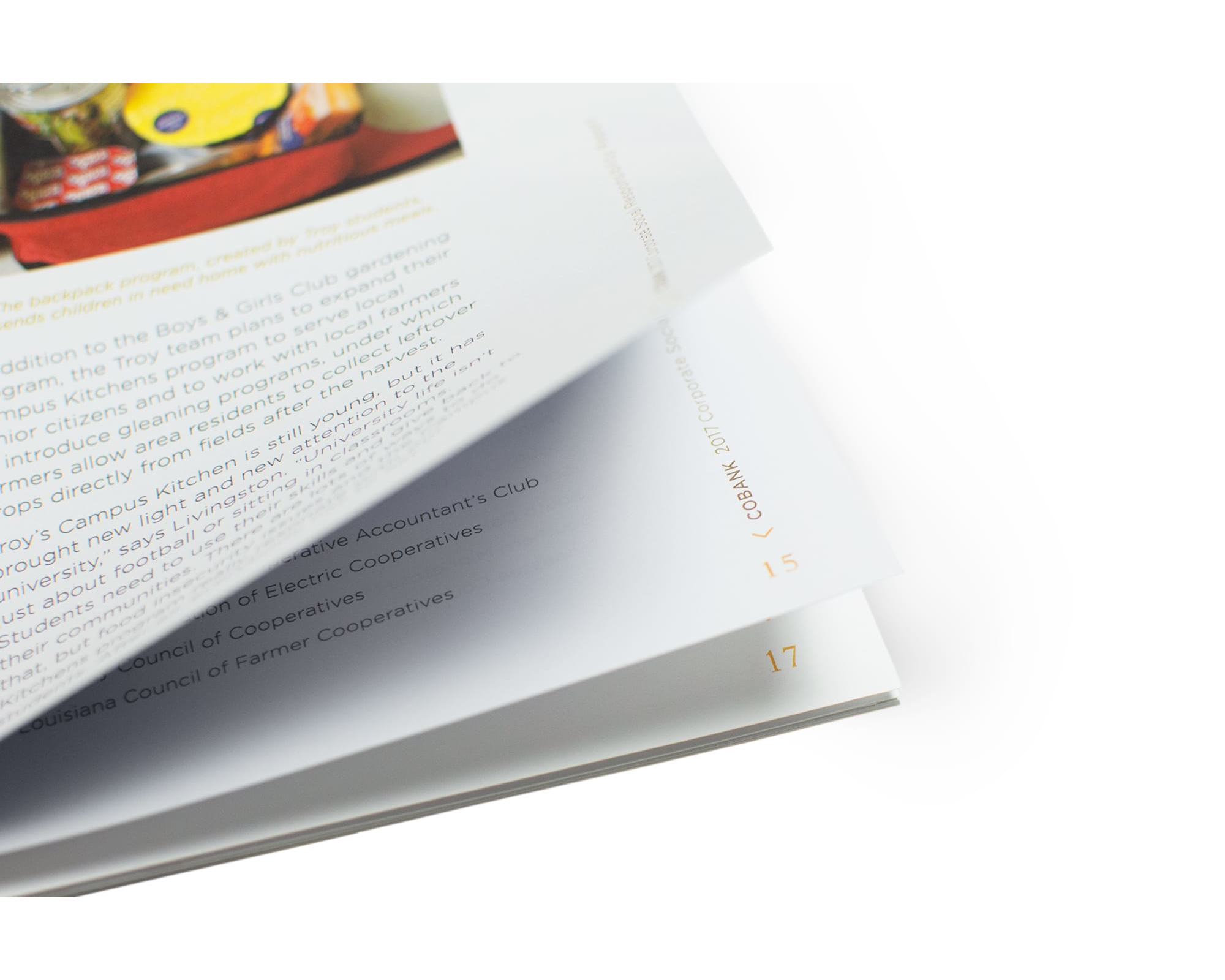 CoBank – 2017 CSR – Page Folio Detail