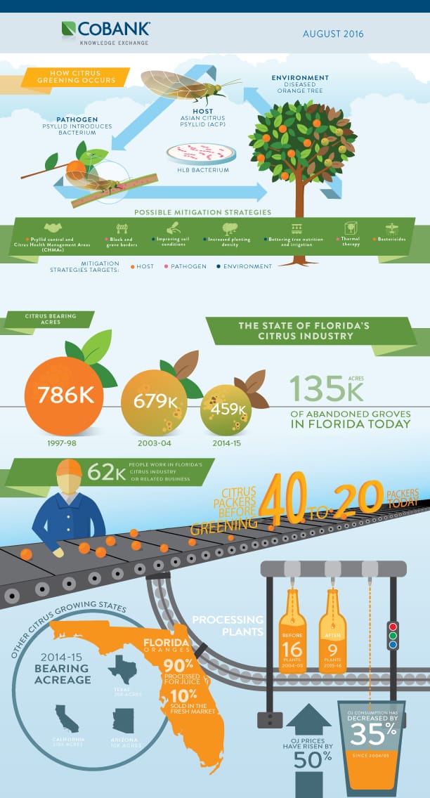 CoBank – Citrus Greening