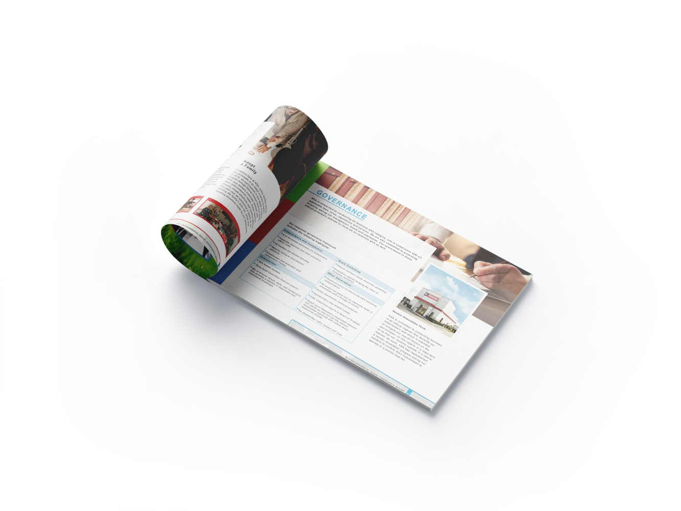 National Storage Affiliates – ESG Mockup Inside roll