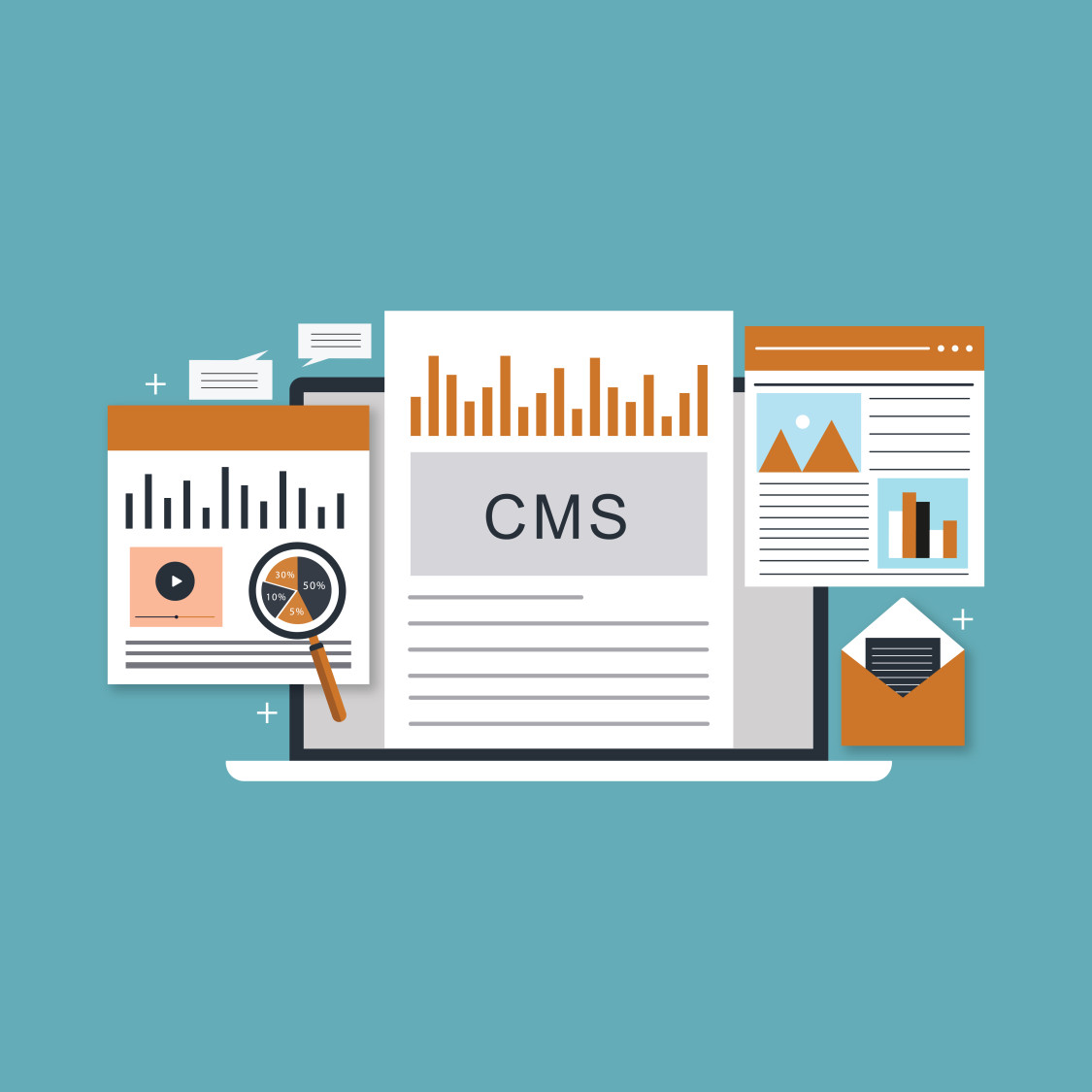 what is a cms explained