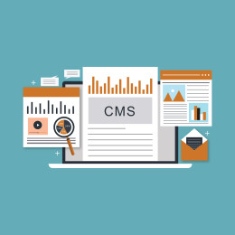 what is a cms explained