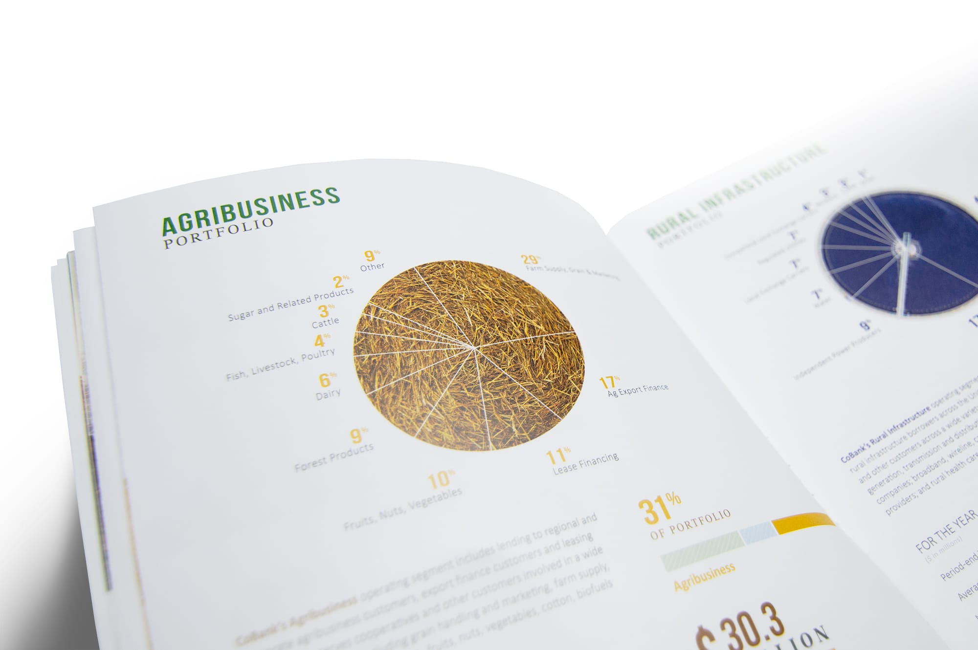 CoBank – 2017 Annual Report – Pie Chart Detail
