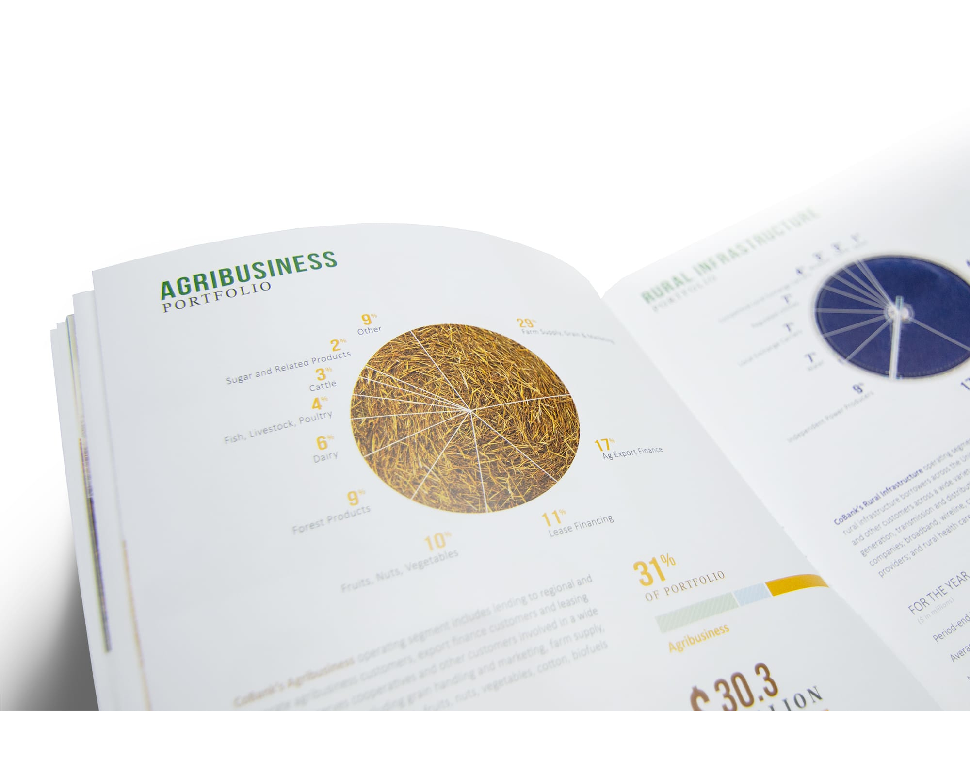 CoBank – 2017 Annual Report – Pie Chart Detail