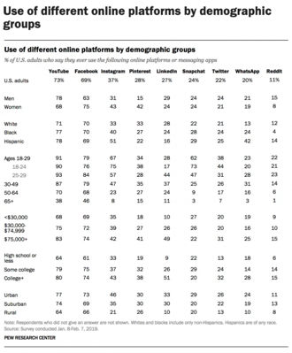 use of different online platforms by demographic groups