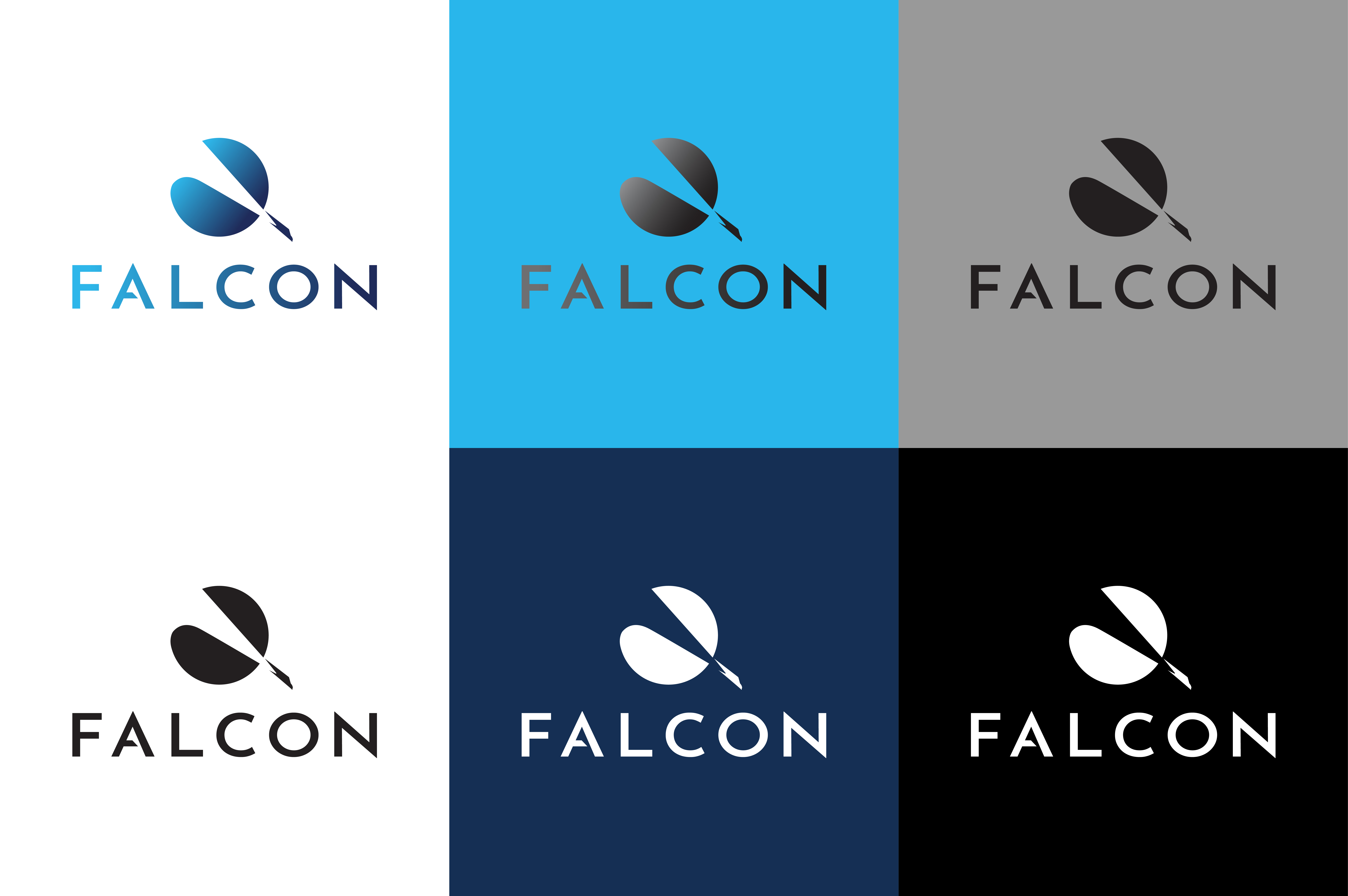 Alcyone Therapeutics / Falcon – Case Study – Image Block 2