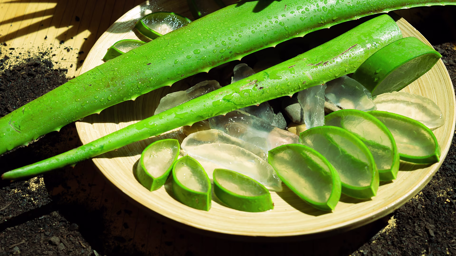 Frische Aloe-Vera-Blätter und Aloe-Vera-Gel liegen auf einem Teller in der Sonne.