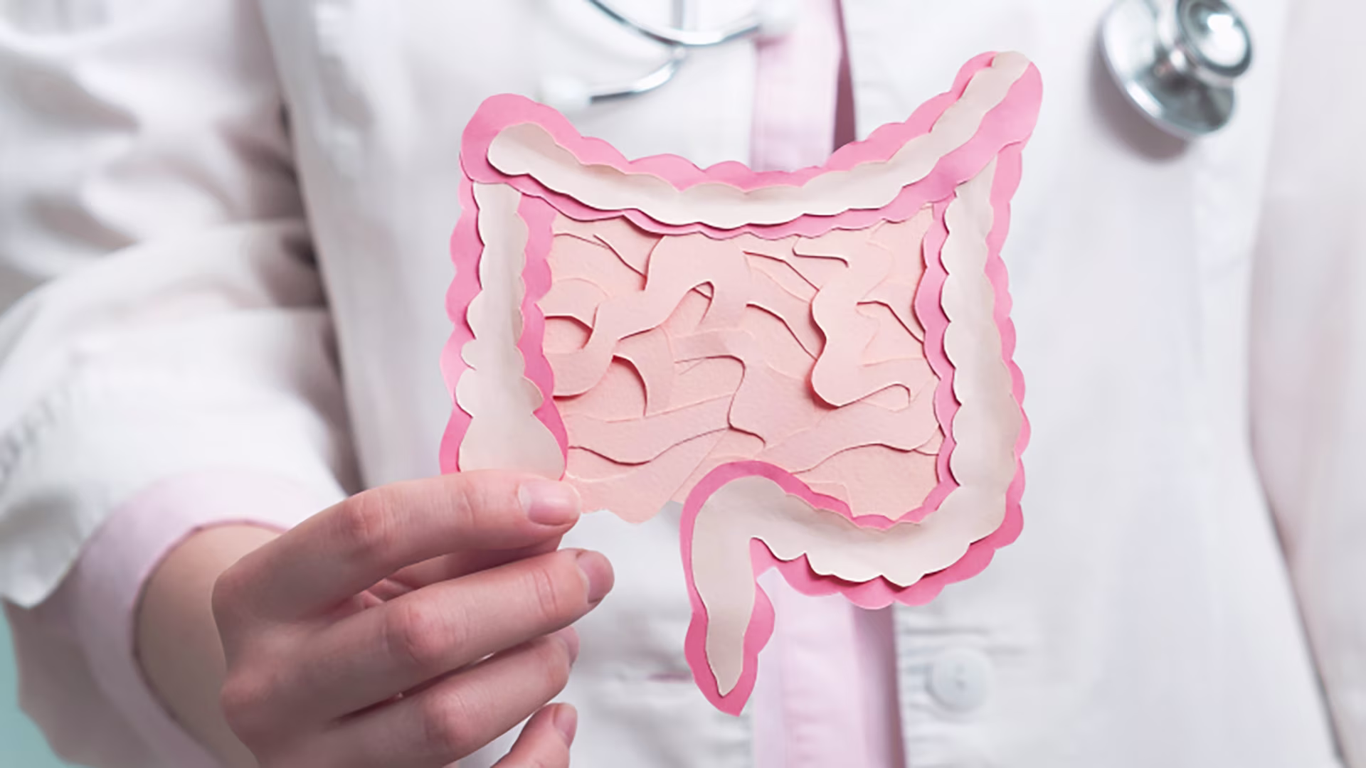 Arzt hält Modelldarm