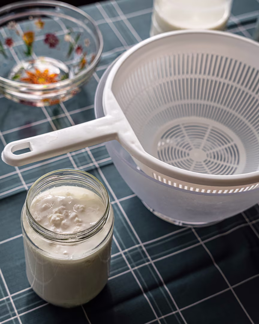 Kefir-Gärung zu Hause mit Gärglas, Plastiksieb und Auffangschüssel.