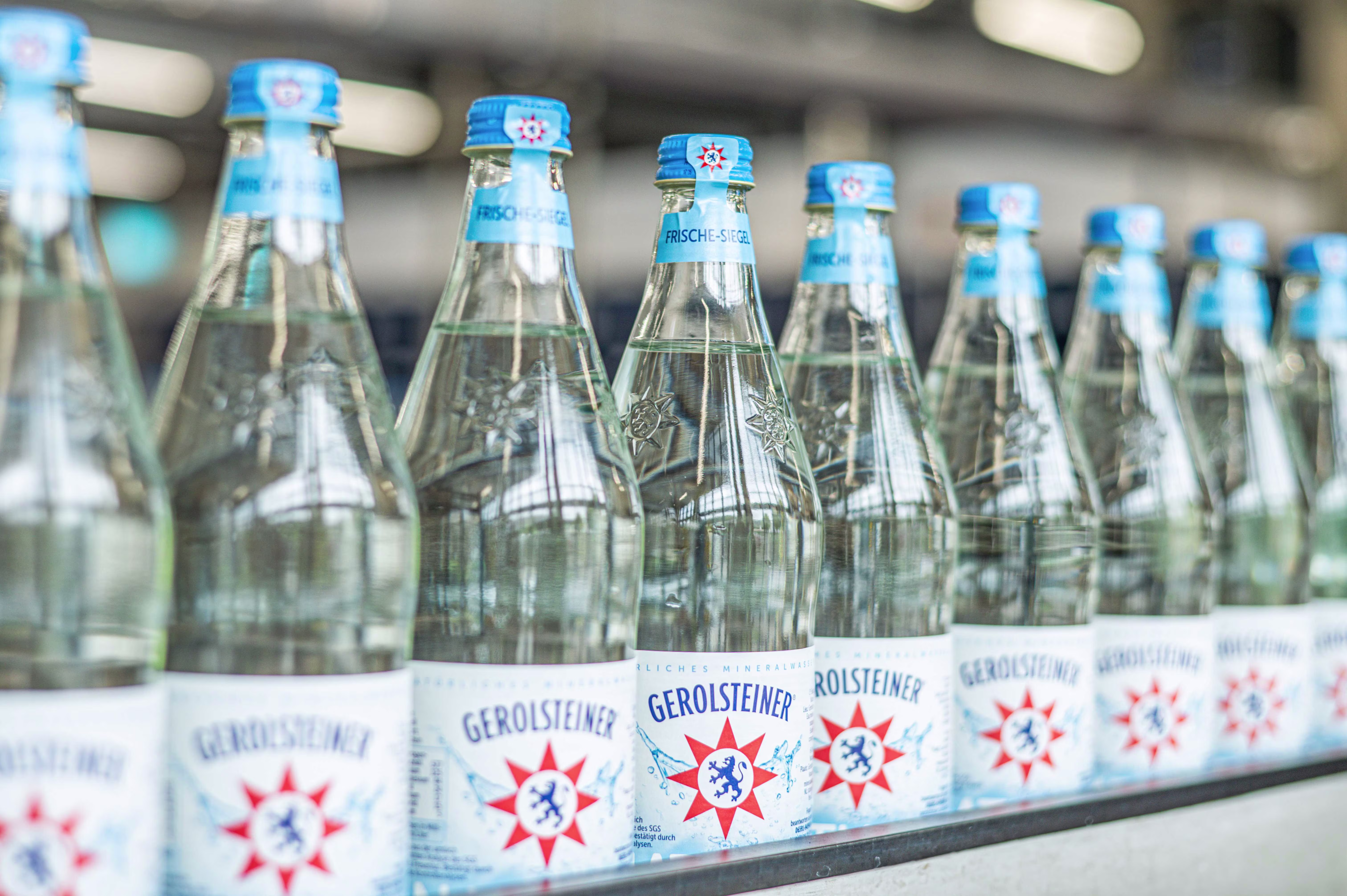 Mehrere Gerolsteiner-Glasflaschen stehen in einer Reihe auf dem Abfüllband. Mit blauem Verschluss und Frischesiegel versehen, werden sie in der Produktionsanlage befüllt und für den Handel vorbereitet.