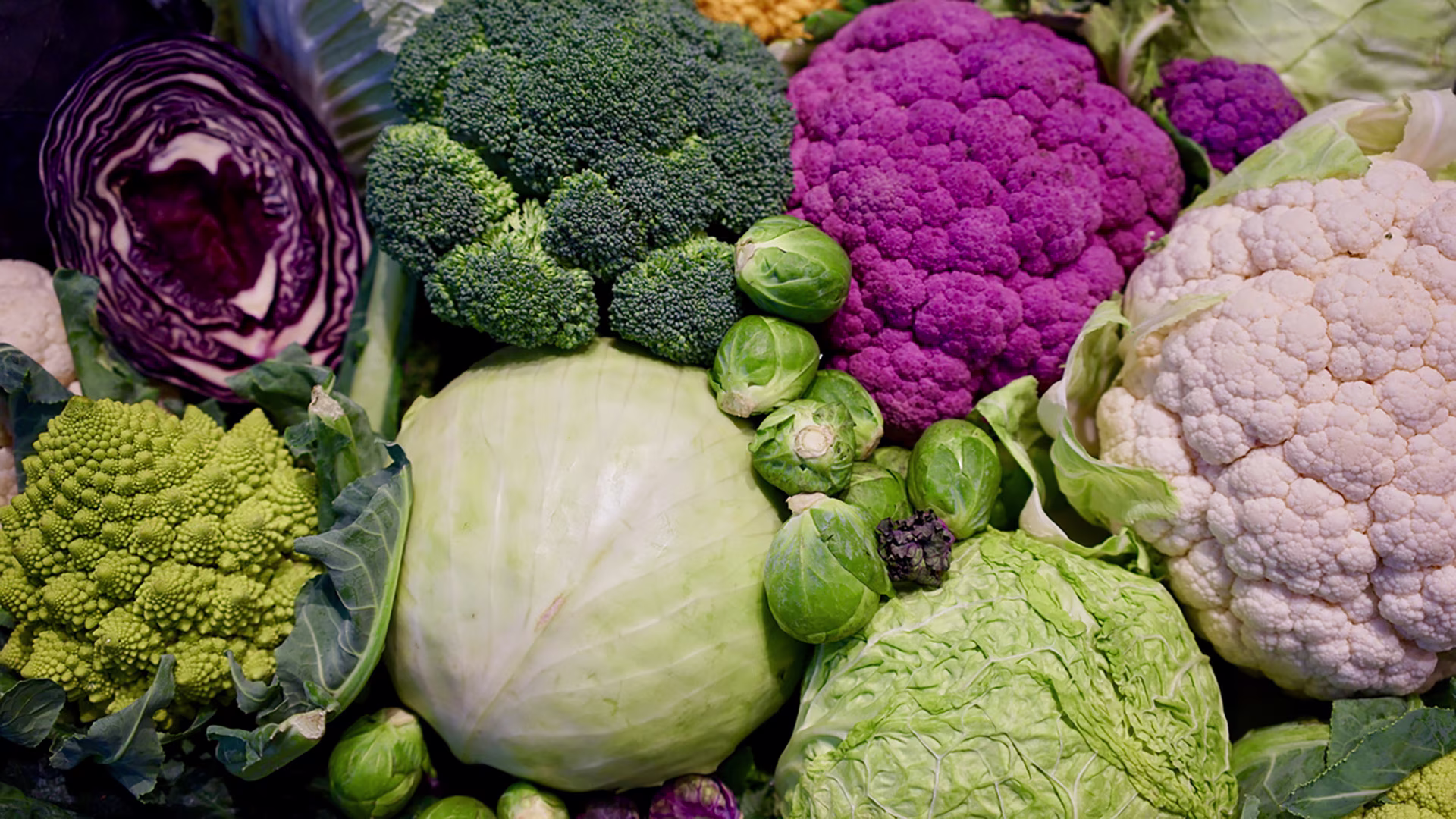 Nahaufnahme verschiedener Kohlsorten zum Verkauf am Marktstand 