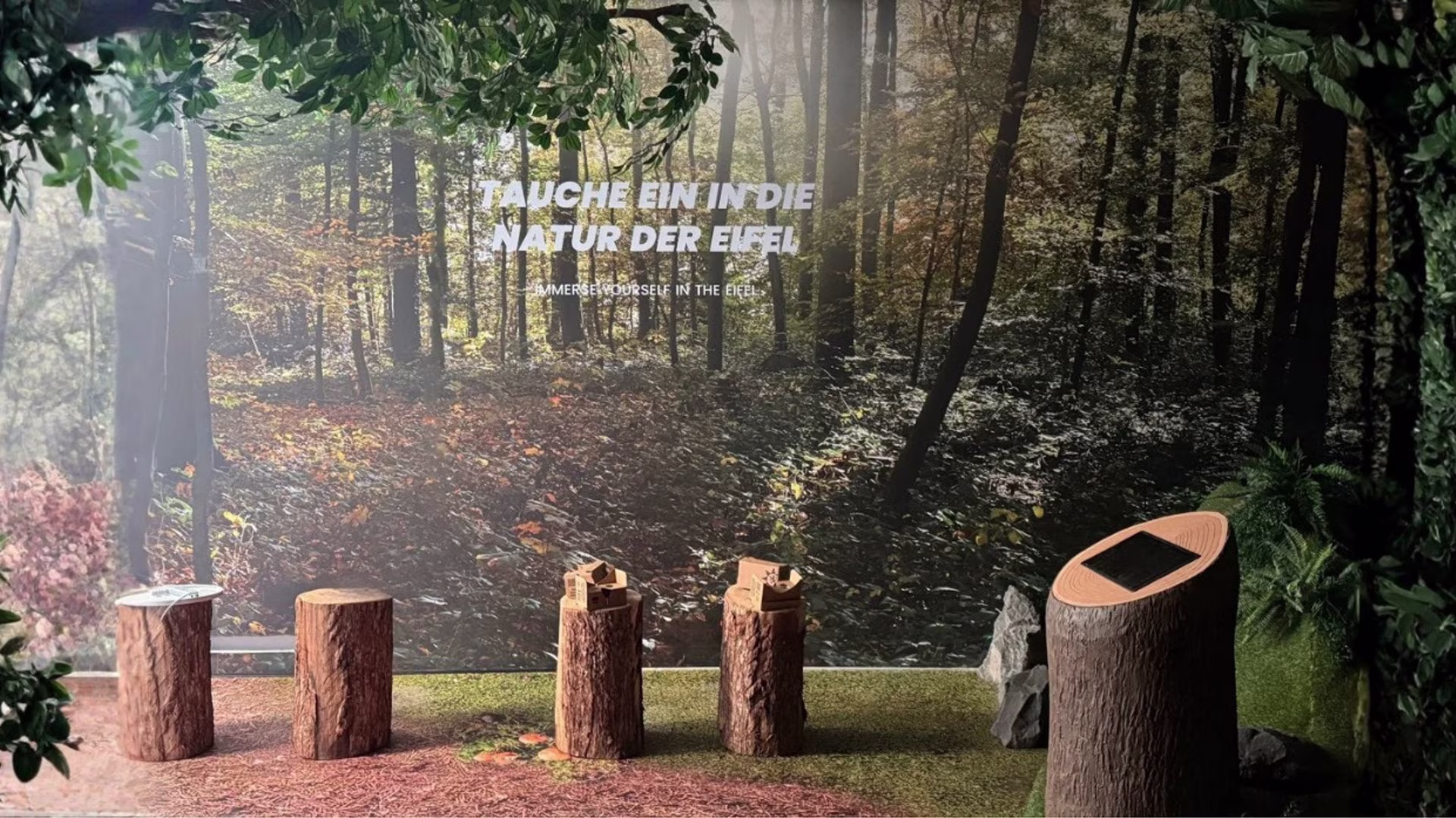 Immersiver Ausstellungsraum mit Waldkulisse, Baumstämmen als Sitz- und Präsentationselemente sowie der Aufschrift „Tauche ein in die Natur der Eifel“.