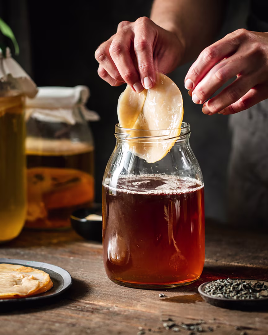Scoby wird aus dem fermentierten Kombucha entfernt