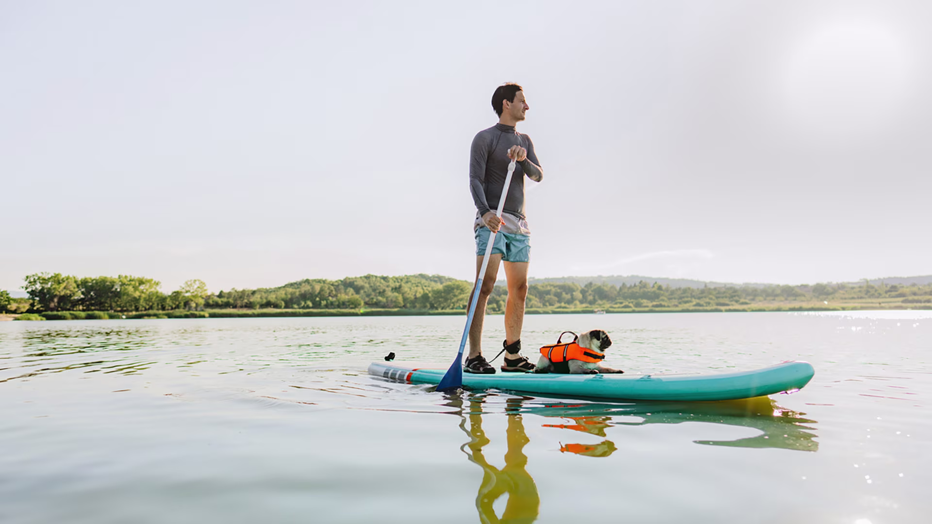 Person beim Stand-up-Paddling mit Hund auf dem Board