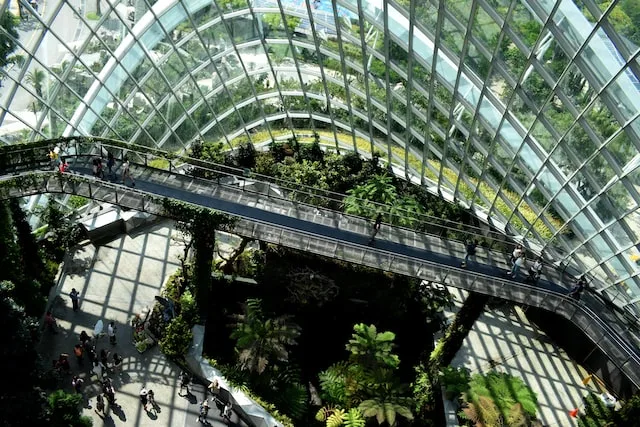 internal view of a building surrounded by glass windows and filled with lush green plants and trees.