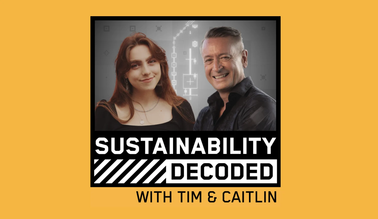 Sustainability Decoded has landed!