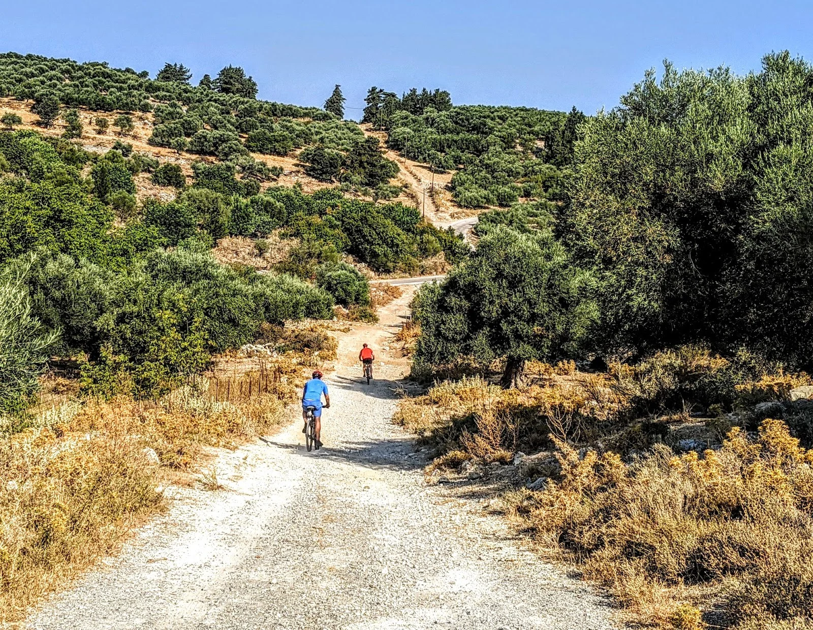 Cycling with family and friends in Crete (highly recommended!)