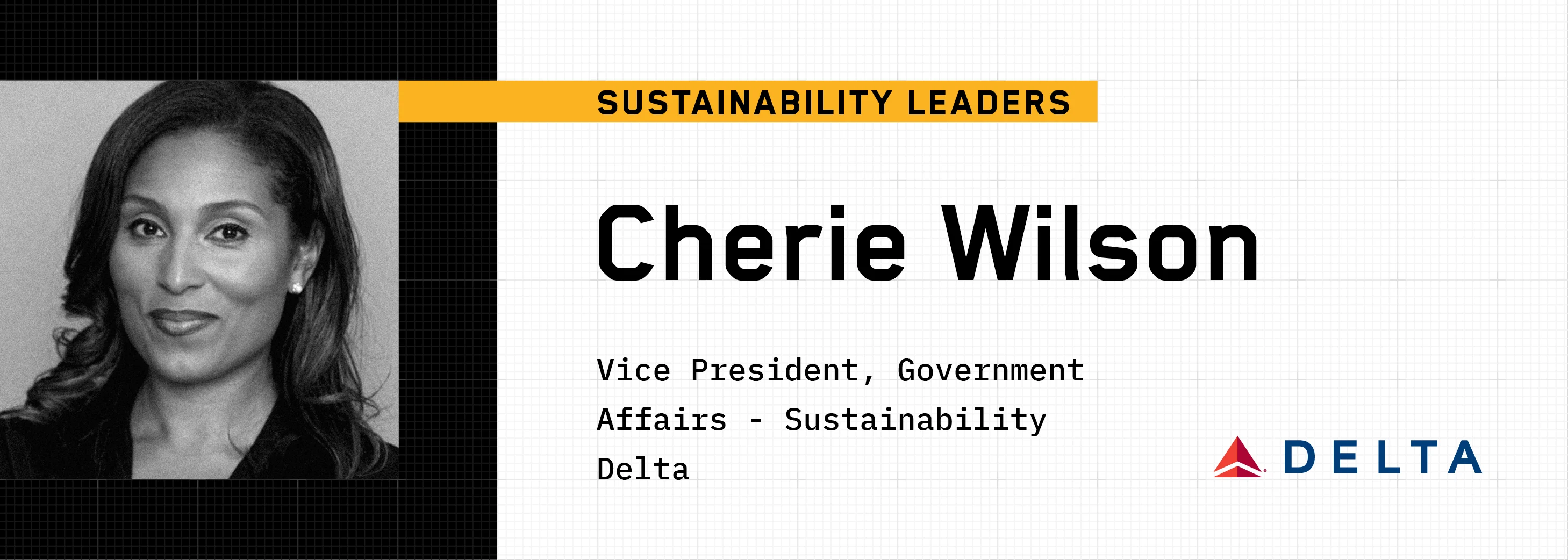 Cherie Wilson, Vice President of Government Affairs - Sustainability, Delta Airlines