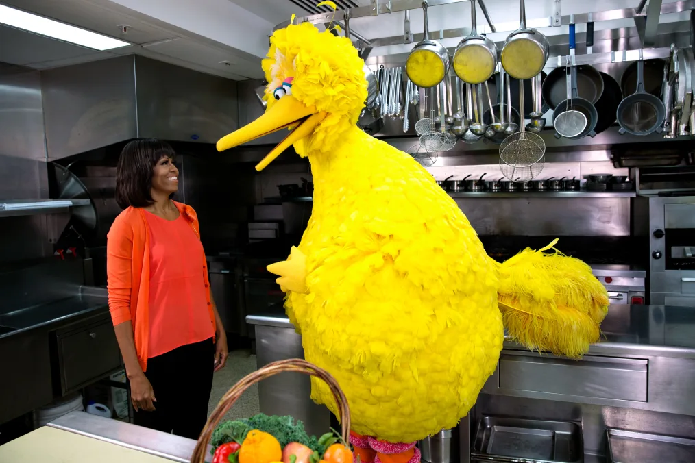 Michelle Obama is standing in an industrial kitchen next to Sesame Street character, Big Bird. Michelle Obama is wearing an orange cardigan and shirt with black pants. She is smiling at Big Bird. Big Bird is a large 7 foot tall yellow puppet bird. In the kitchen around Michelle Obama and Big Bird are hanging pots and pans, an industrial oven and stove top, and a wooden handled fruit basket with a red pepper, an orange pepper, and an orange.