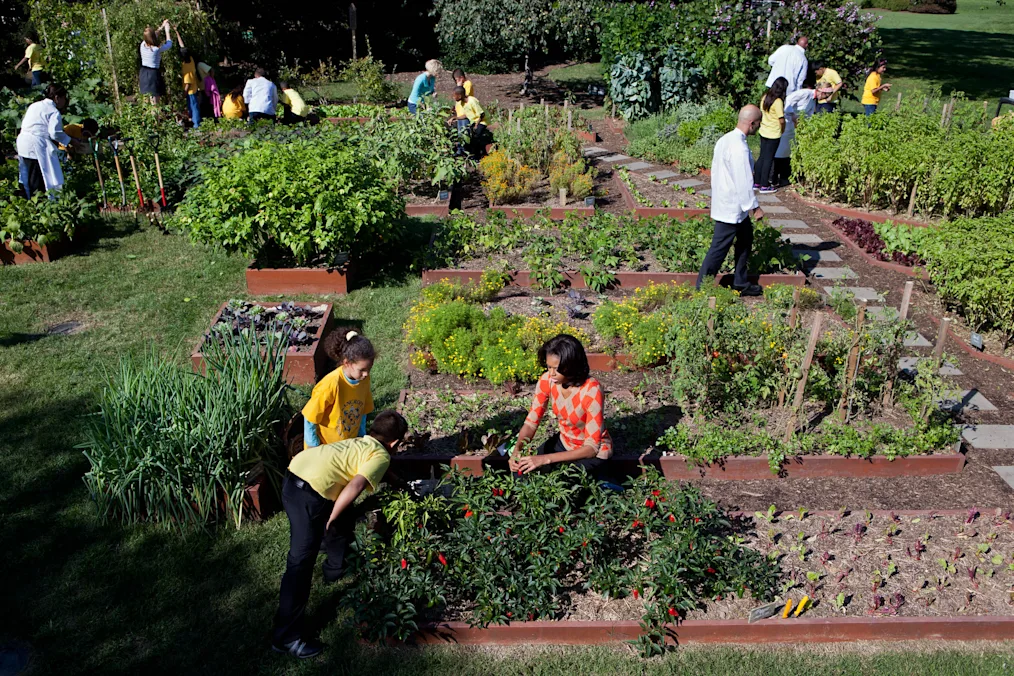 A wide shot of the White House Kitchen Garden shows Mrs. Obama gardening with a group of children. In the background, more people with a range of ages and light to dark skin tones are seen gardening.