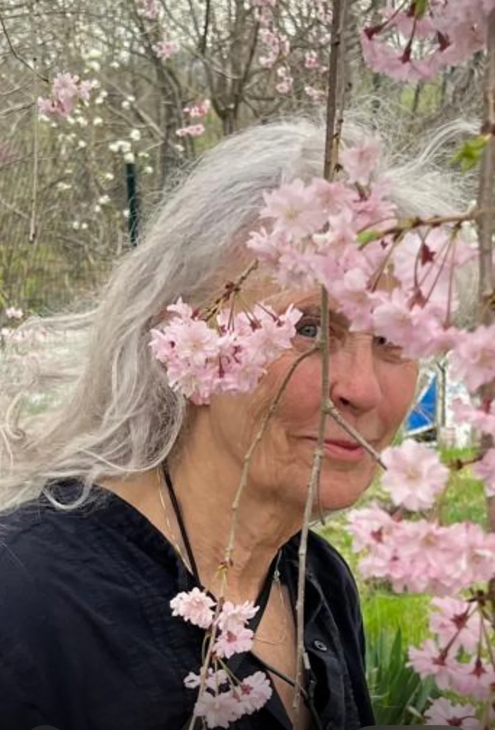 The image is a photographed portrait of Kiki Smith. Kiki has a light olive complexion and long gray hair. She is standing outside in a field, her face is partially obscured by pink flowers hanging from the right side of the image. She is wearing a black shirt.