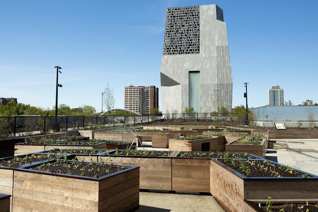  Raised wooden garden beds filled with dark soil and small green plants sit outdoors under a clear blue sky. In the background, a tall stone building features carved text near the top.