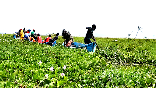 An image shows 12 students and fishermen stuck in Lake Naivasha on a bright day. The boats are surrounded by water hyacinth, a green leafy weed that rises above the height of the boats